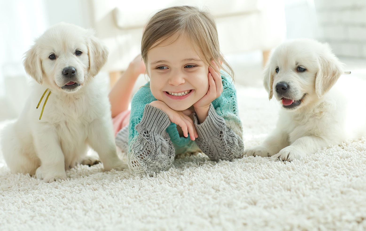 allergen pet and child friendly cleaning
